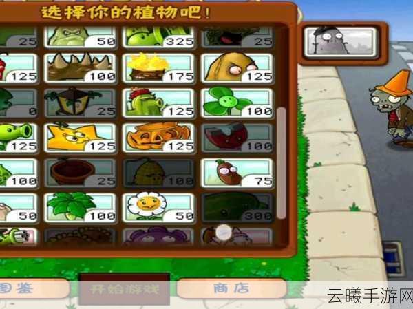 植物大战僵尸小游戏深度攻略,解锁趣味无限,智胜僵尸大军