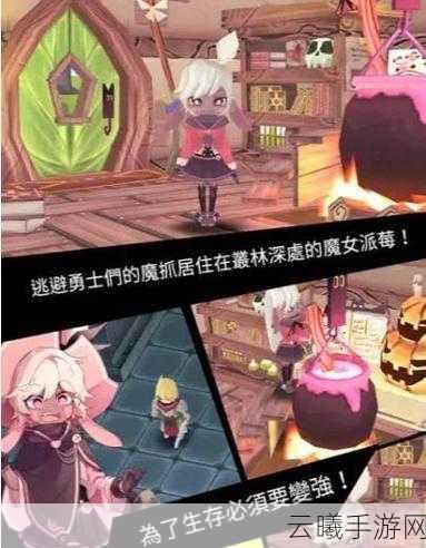 魔女之泉2二周目深度探索,全剧情通关攻略与趣味玩法揭秘