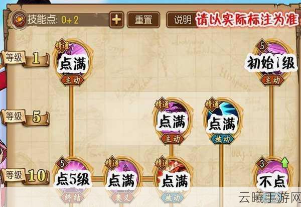 航海王燃烧意志女帝技能加点全攻略，打造无敌石化女王