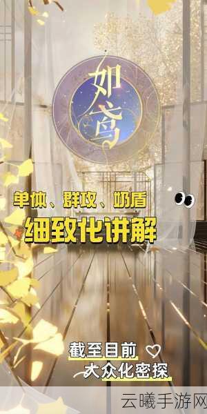 如鸢绣球，密探职业深度解析与属性全览，揭秘古风谍战新玩法
