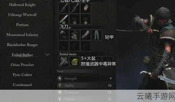 堕落之主新手初始职业推荐及趣味玩法揭秘