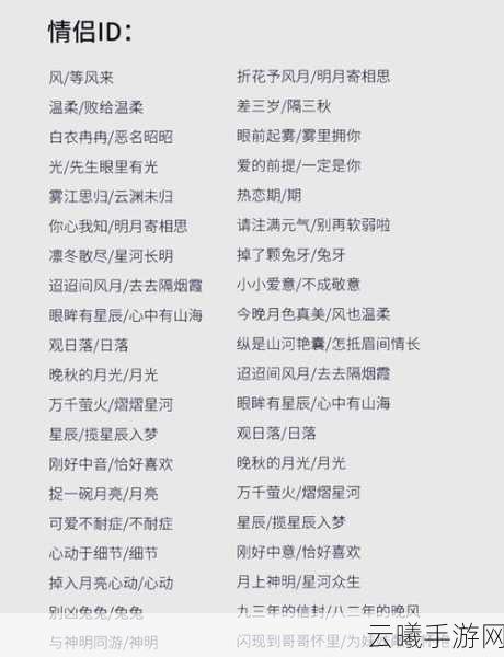 王者荣耀诗意盎然的游戏名字与独特玩法揭秘
