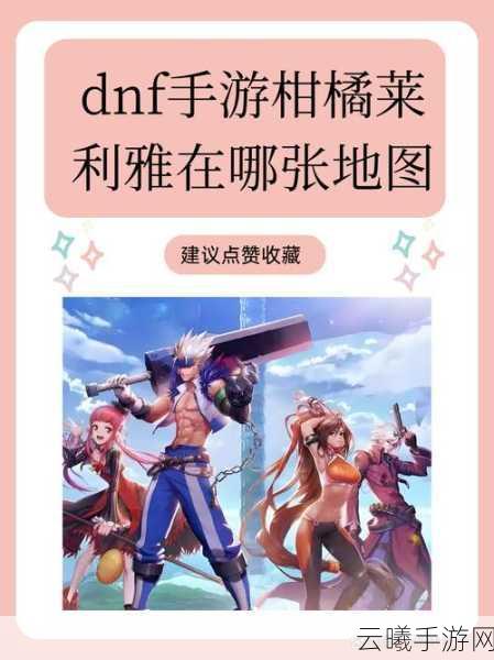 DNF手游笑谈风云，揭秘讽刺图背后的故事与情感深度