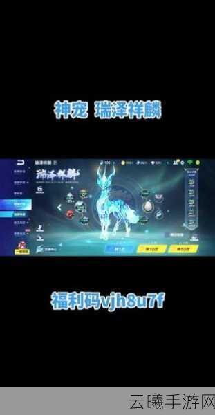 QQ飞车手游瑞泽祥麟,骑宠新纪元,竞速新体验!