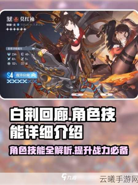 白荆回廊开荒角色攻略，深度解析角色特性与推荐开荒角色选择
