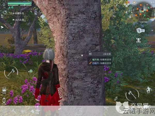 黎明觉醒白蜡木获取攻略及趣味玩法揭秘