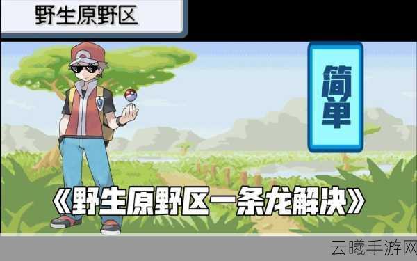 口袋妖怪火红二周目开启全攻略,探索未知,再战巅峰!