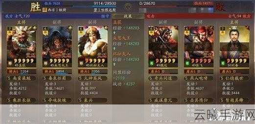 三国志,战略版朵思大王角色深度解析——拆还是留?策略玩家的终极抉择!