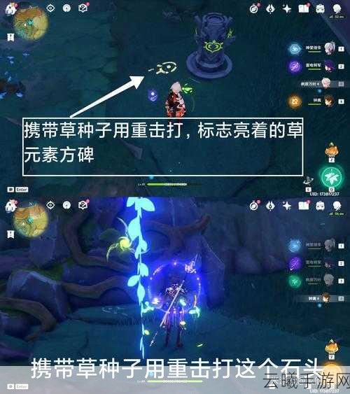 原神伞盖的隐蔽开启顺序全揭秘,解锁隐藏任务的奇幻之旅