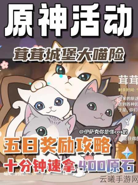原神茸茸城堡大喵险攻略大全,解锁奇幻冒险新篇章