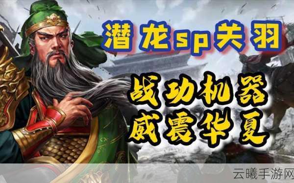 三国志战略版关羽威谋之道深度解析,策略与勇武的极致碰撞