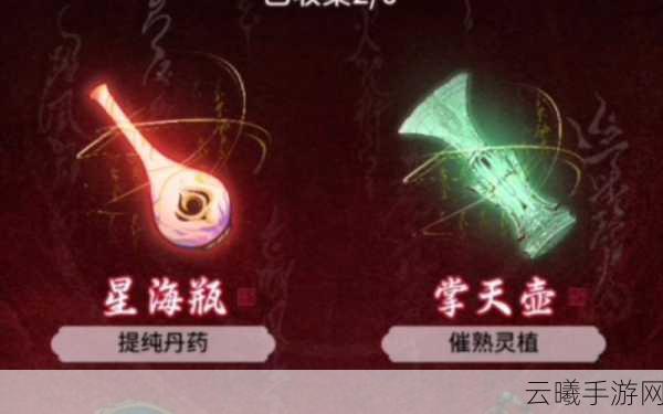 一念逍遥造化至宝抽奖技巧与趣味玩法揭秘