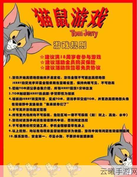 猫和老鼠手游新手指南，全面解析新手技巧与趣味玩法
