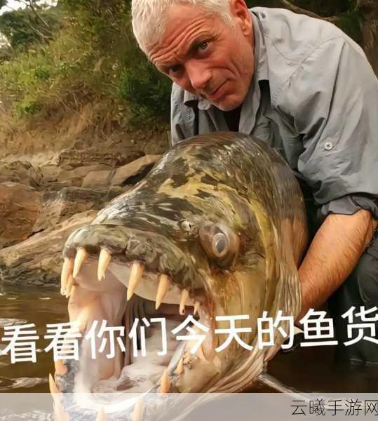 欢乐钓鱼大师陀螺仪开启教程及趣味玩法揭秘