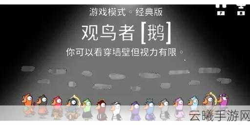 鹅鸭杀沙漠地图观鸟者探秘，独特技能与趣味玩法全解析