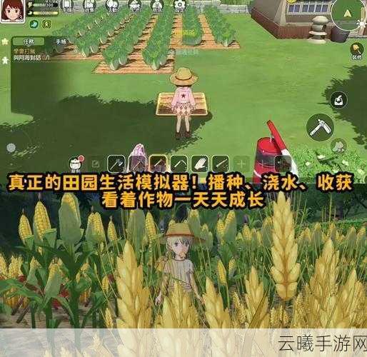 小森生活稀有资源刷新全揭秘,掌握机制,畅享田园乐趣!