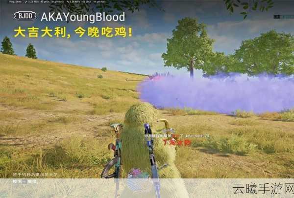 绝地求生大逃杀全面攻略，解锁胜利之路的终极指南