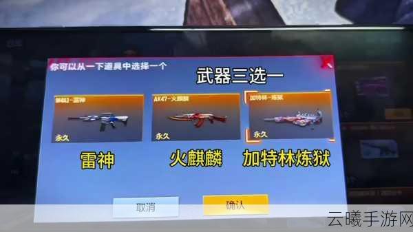 穿越火线,枪战王者加特林堡垒获取攻略及趣味玩法揭秘