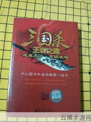 三国杀王者之路深度解析，逐鹿天下·高级攻略全揭秘，策略与智斗的巅峰对决