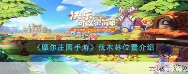 摩尔庄园伐木林具体位置全揭秘，资源管理策略与趣味玩法大探索