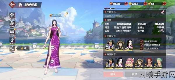 航海王热血航线大妈觉醒全攻略,碎片需求与趣味玩法揭秘