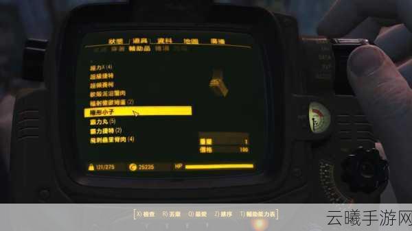 辐射4手游版,消失的巡逻队BUG解决方法及趣味玩法揭秘