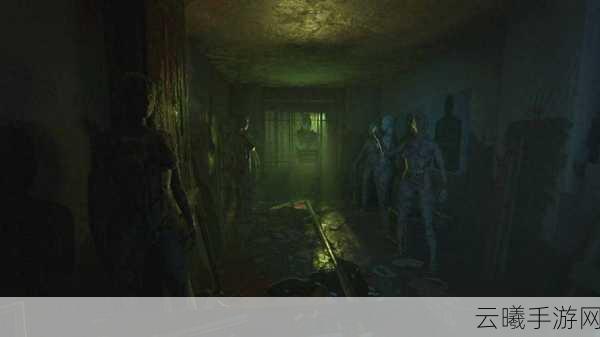 国产恐怖游戏无归受Steam审核影响，延期上线，揭秘其独特玩法与惊悚体验