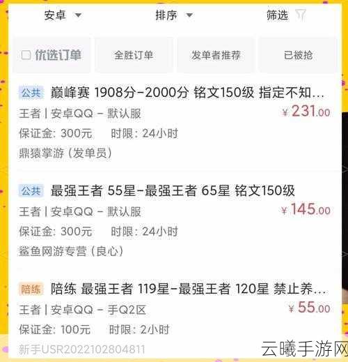 英雄联盟手游代练价格揭秘及趣味玩法探索