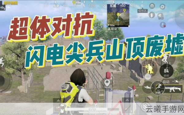 和平精英山顶废墟房顶阴人技巧全攻略,解锁高端战术,制霸战场!