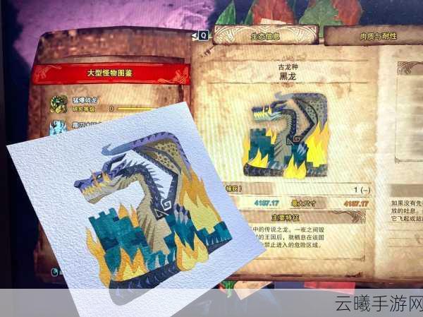 怪物猎人物语2古龙蛋摸取攻略，手把手教你探寻珍稀古龙蛋