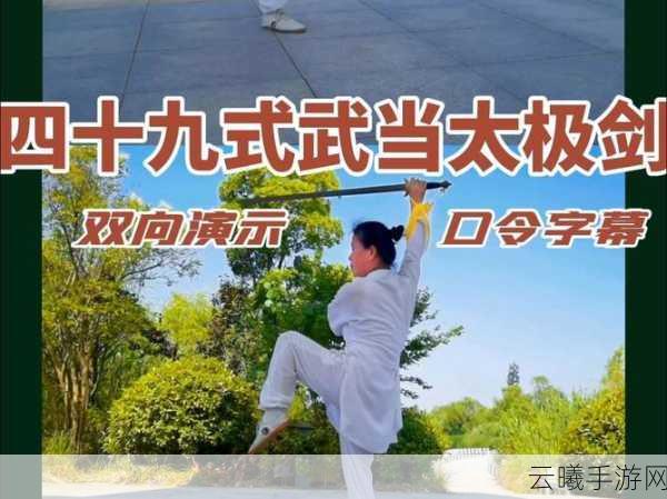 放置江湖武当太极剑前置条件及玩法深度解析