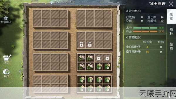 黎明觉醒白鲦鱼垂钓攻略，解锁高级食材的秘密