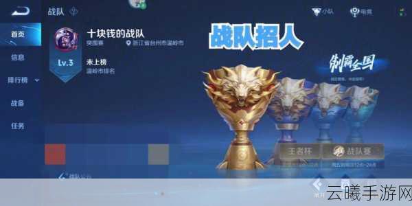 王者荣耀战队徽章兑换攻略,解锁珍稀奖励与趣味玩法全揭秘