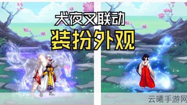 DNF手游稀有装扮加成,解锁华丽外观与巅峰实力的双重盛宴