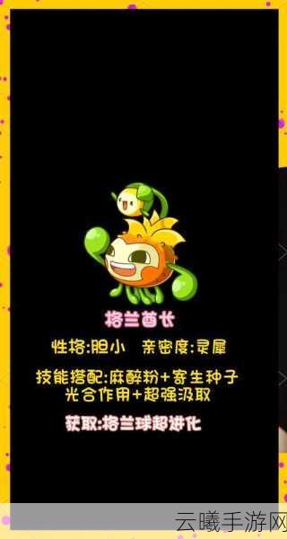 洛克王国手游资讯,揭秘圣灵草王的获取与趣味玩法