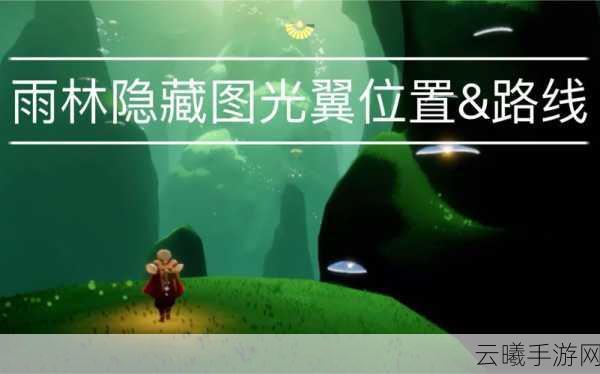 Sky光遇雨林地图樱花小树苗寻觅之旅——位置与趣味玩法全解析
