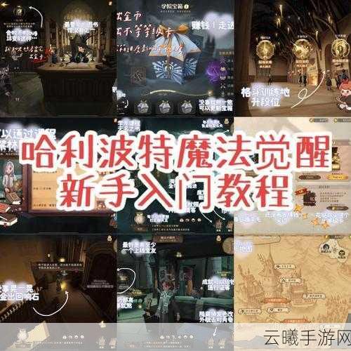 哈利波特，魔法觉醒深度攻略，携手巫师，智闯禁林探险秘籍