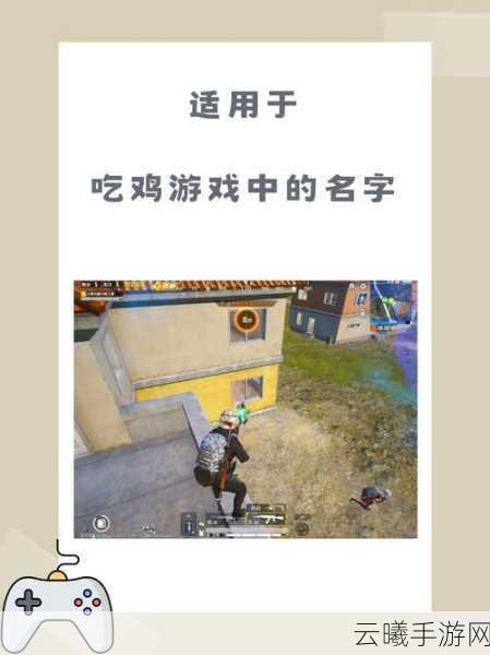 绝地求生刺激战场体验服资格申请全攻略及趣味玩法揭秘