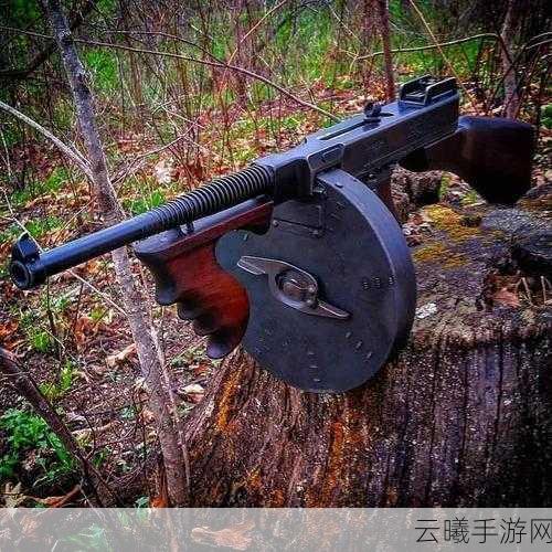 和平精英,掌握汤姆逊冲锋枪的制胜秘诀与趣味玩法