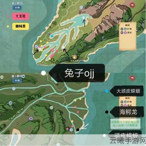 创造与魔法大顽皮蝾螈捕捉指南，探索与驯服的奇妙之旅
