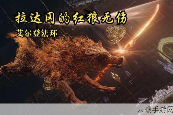 艾尔登法环红狼锚点深度探索，全新攻略解锁拉达冈的红狼挑战，冒险再升级！