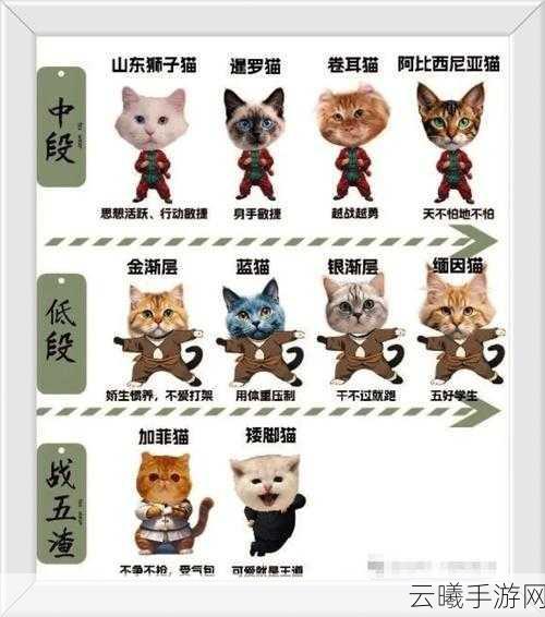 怪物猎人P3猫咪选择与技能加点全攻略，打造你的最强伙伴！