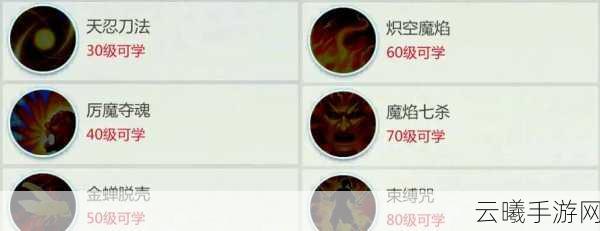 剑侠世界手游天忍职业技能搭配与释放顺序深度解析及趣味玩法探索