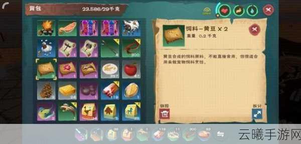 创造与魔法熔岩蝾螈饲料保底揭秘，探索奇遇生物的奇妙之旅
