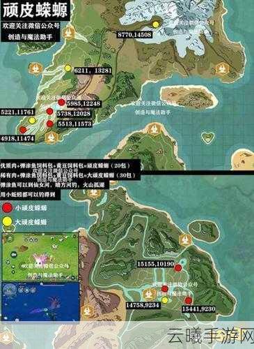 创造与魔法熔岩蝾螈饲料保底揭秘,探索奇遇生物的奇妙之旅