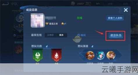 王者荣耀小队队长如何优雅退队？全面攻略及趣味玩法揭秘