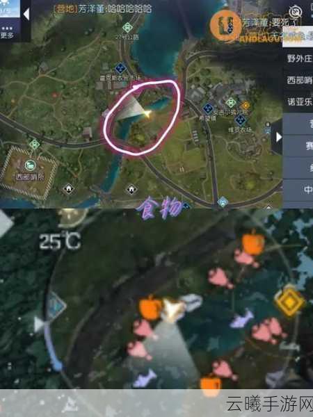 黎明觉醒,生机中部平原箱子位置全攻略及趣味玩法揭秘
