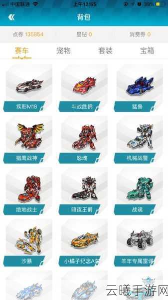 QQ飞车狮王改装全攻略，从新手到高手的极速蜕变之旅