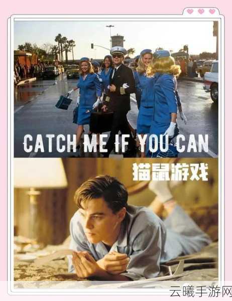 猫鼠旋律探秘，开启经典旋律与趣味追逐的冒险之旅