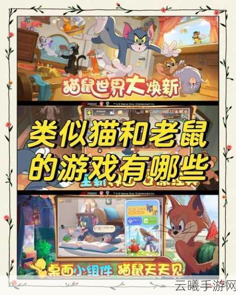 猫鼠旋律探秘,开启经典旋律与趣味追逐的冒险之旅